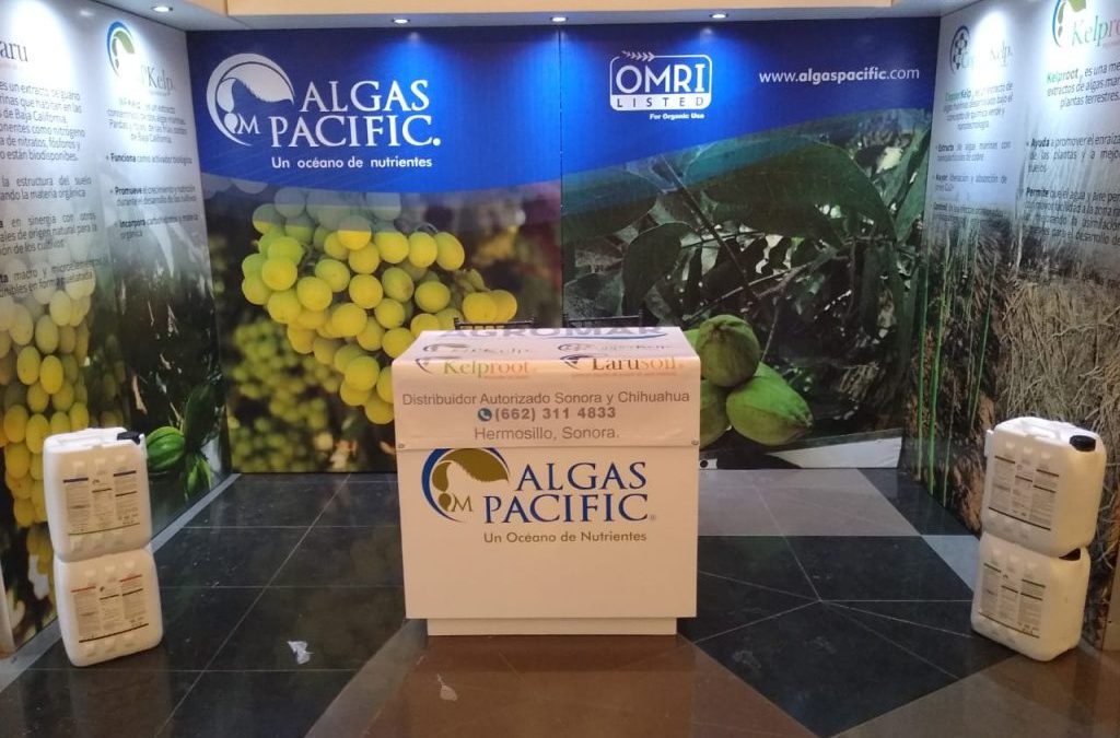 ALGAS PACIFIC ® presente en CIVENH