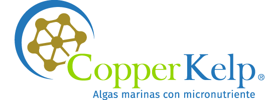 CooperKelp