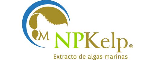 NPKelp