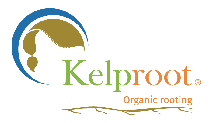 Kelproot