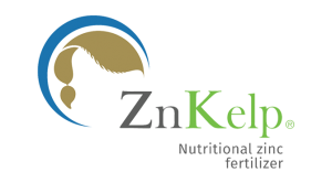 ZnKelp